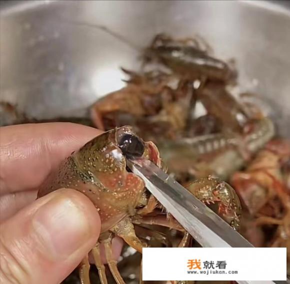 怎么杀龙虾？