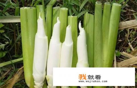 高笋怎么炒？