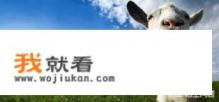 山羊小队是哪个游戏里的？