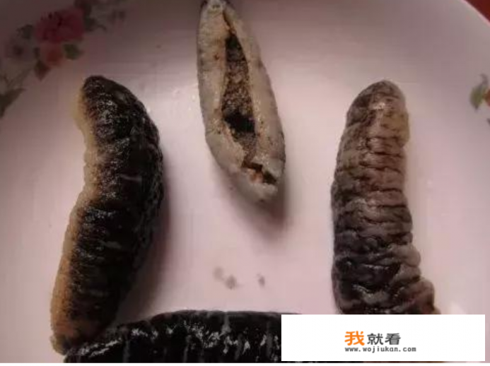 海参的种类及图片和名称？