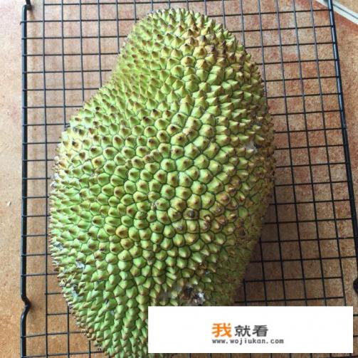 榴莲蜜好吃么？