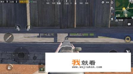 热带雨林的游戏有哪些？