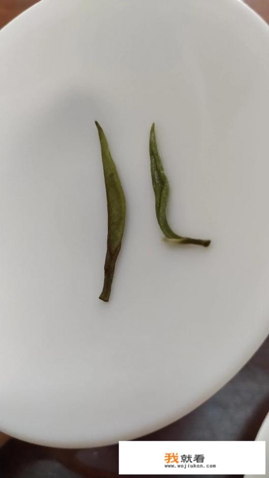 白茶适合女人喝吗？哪些人不适宜喝白茶？