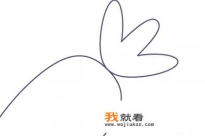 胡萝卜摆盘花样图片及做法？