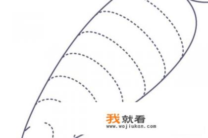 胡萝卜摆盘花样图片及做法？