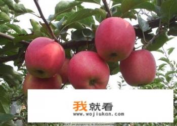 坐月子期间可以吃什么水果？