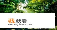 2021顺风车app哪个好？