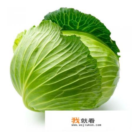 卷心菜和白菜有哪些区别？