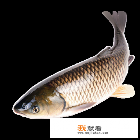 武汉糍粑鱼怎么做啊？