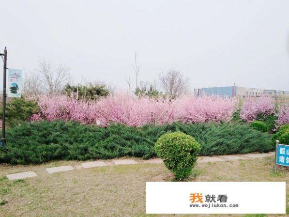 逆水寒最后一个网游怎么没有了？