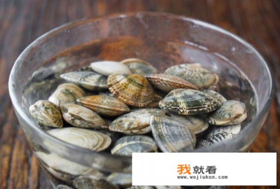 海蛤蜊怎么吐沙子？
