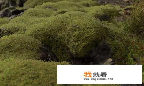 游戏《死亡搁浅》的故事会发生在冰岛吗？