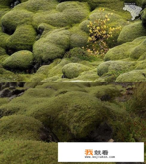 游戏《死亡搁浅》的故事会发生在冰岛吗？