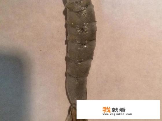 天妇罗炸虾为什么挂不上糊？