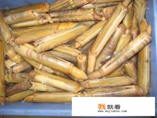 小竹蛏怎么清洗？
