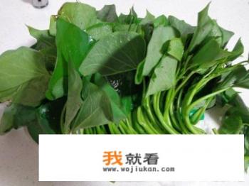 地瓜叶的功效是什么？