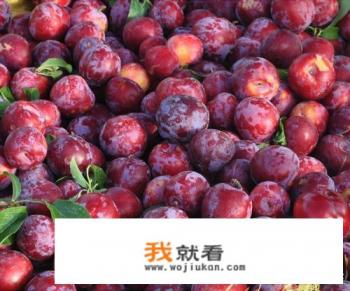 李子有什么营养？