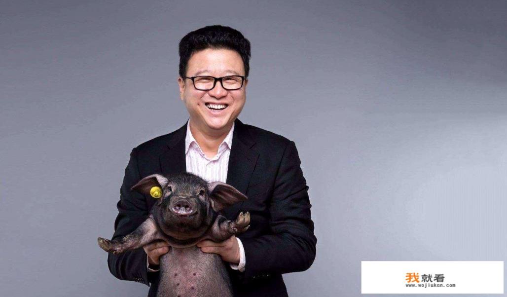 网易已经有大话西游了，为什么还要开发梦幻西游？