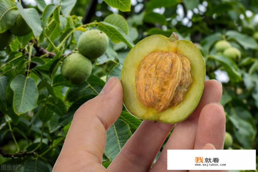 青核桃皮治疗白癜风效果好吗？