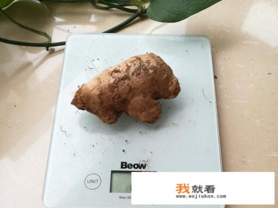 姜汤葱根的正确熬法？
