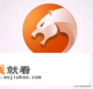 谷歌浏览器为什么搜索不了？