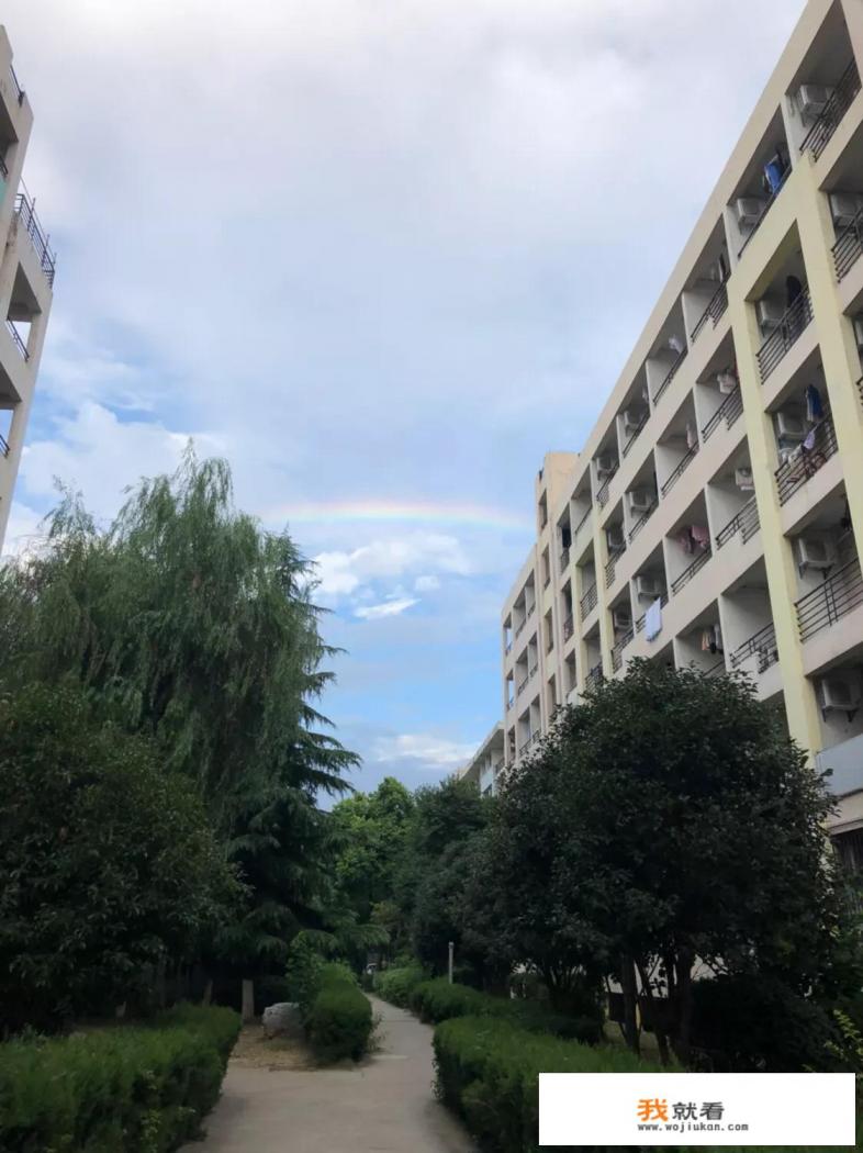 肝气郁结、内分泌失调，应该怎样调理？