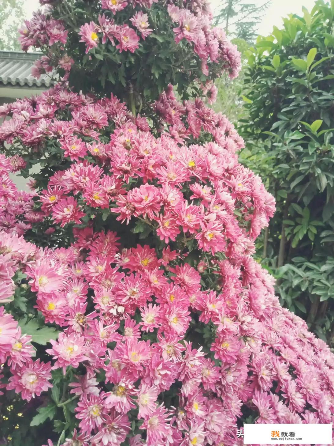 有没有好看的风景图片分享？