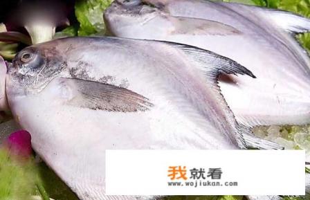 红色海鱼图片及名字？
