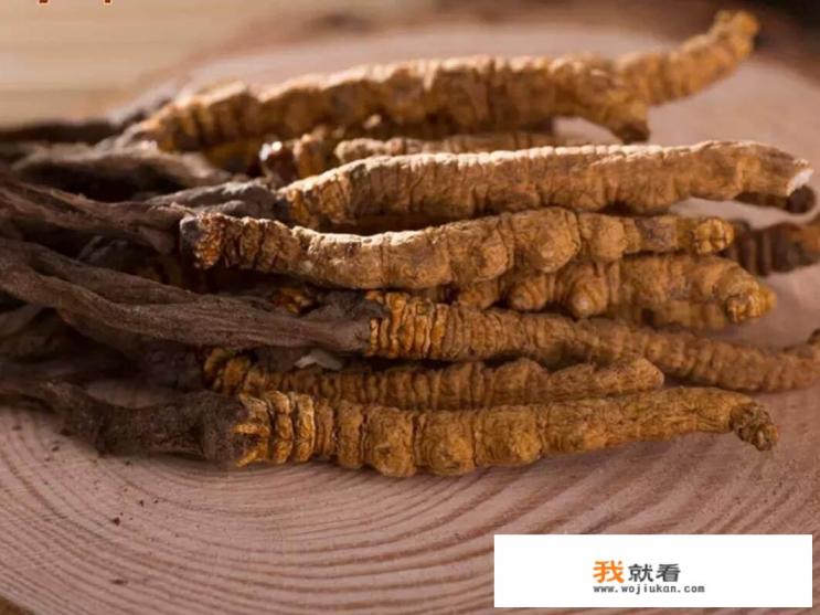 阿胶是水煮驴皮，那童子尿是什么成分？
