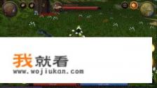 有没有西方魔幻类的网络游戏，最好有召唤师的？