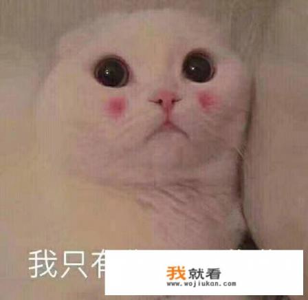 现在用微信的比较多，你们还有人用qq吗？当年的qq好友还有印象吗？