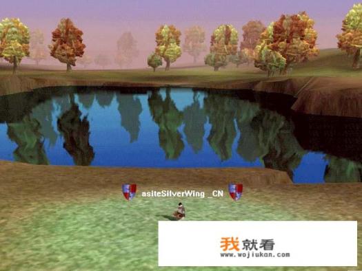 steam共享的网游怎么算？
