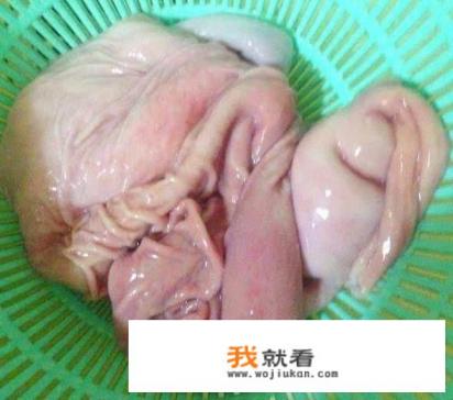 猪肚子怎么弄才好吃？