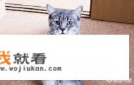我们该如何对待网络游戏呢？