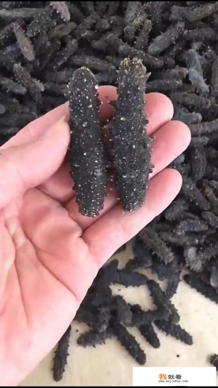 怎样泡发干海参才涨发率高？