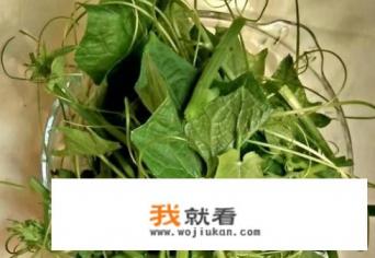 佛手瓜须的吃法？