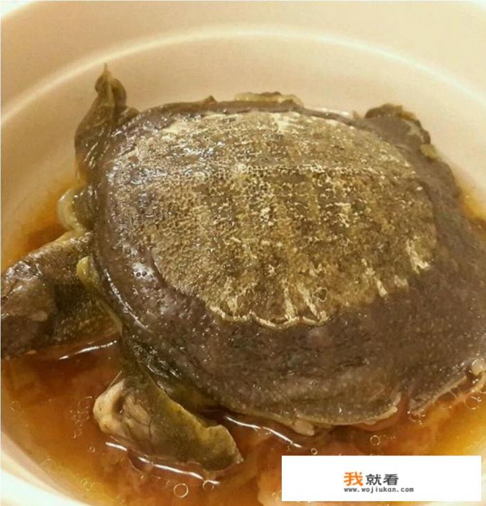 清蒸甲鱼的做法？