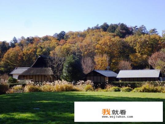日本住宅室内装修的主要风格是什么？