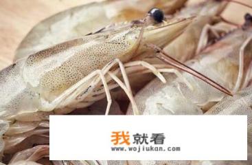 常吃的虾有哪些？