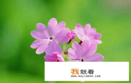 每天吃同样早餐的人到底算自律还是刻板？