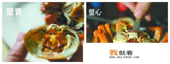 小海蟹(螃蜞)吃些什么?如何喂养？