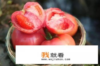 减肥期间可以吃西红柿吗？