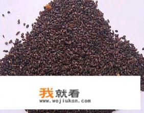 车前子的作用和功效是什么？