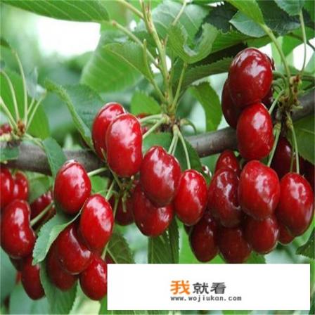 抖音直播与产品不符怎么申诉？