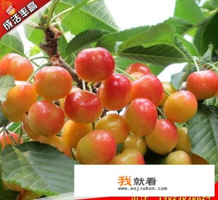 抖音直播与产品不符怎么申诉？