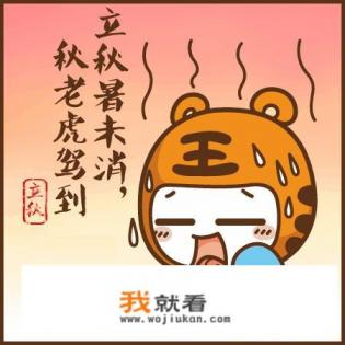 处暑节气的特点和风俗？