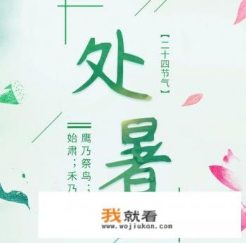 处暑节气的特点和风俗？