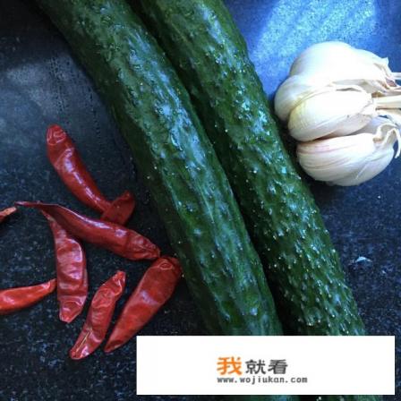 凉拌酸辣兔的做法？