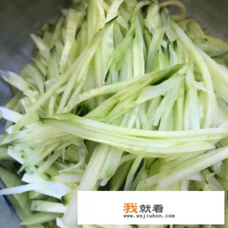 凉拌酸辣兔的做法？