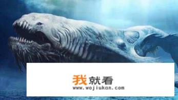 关于鲲的游戏哪款才是正版？